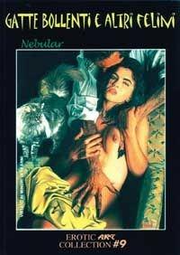 Gatte bollenti e altri felini - Nebular, Oxborne, Tiberia - Libro B&M Books and Magazines 2008, Erotic art collection | Libraccio.it