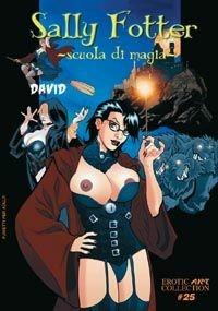 Sally Fotter. Scuola di magia - David - Libro B&M Books and Magazines 2008, Erotic art collection | Libraccio.it