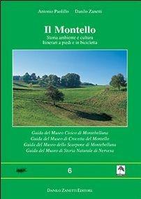 Il Montello. Storia, ambiente e civiltà. Itinerari a piedi e in bicicletta. Le grotte del Montello. Guida dei musei - Antonio Paolillo, Danilo Zanetti - Libro Danilo Zanetti Editore 2004, Millepiedi | Libraccio.it