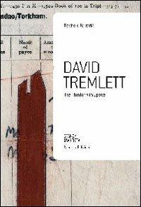 David Tremlett. The thinking in space. Ediz. illustrata - Rachele Ferrario - Libro Nomos Edizioni 2011, Stanza d'artista | Libraccio.it