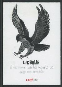 Ligabue. Il mio nome non ha importanza - Giuseppe Zironi, Hannes Bider - Libro Zoolibri 2011, Narrativa illustrata | Libraccio.it