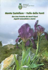 Monte Castellare, valle delle Fonti. Due aree protette dei monti pisani. Aspetti naturalistici e storici  - Libro Felici 2002 | Libraccio.it