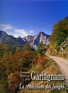 Garfagnana: la tradizione dei funghi - Angela Cecchini, Roberto Narducci - Libro Felici 2004 | Libraccio.it