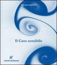 Il caos sensibile. Fluente creazione di forme nell'acqua e nell'aria - Theodor Schwenk - Libro Arcobaleno 2012, Collana scientifica | Libraccio.it