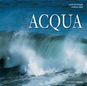 Dire acqua - Andrea Vitali, Carlo Borlenghi - Libro Stefanoni Editrice 2008 | Libraccio.it