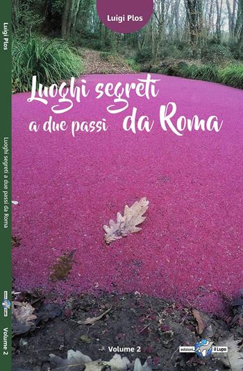 Luoghi segreti a due passi da Roma. Vol. 2 - Luigi Plos - Libro Il Lupo 2018, Luoghi segreti a due passi da Roma | Libraccio.it