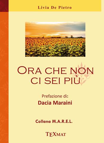 Ora che non ci sei più - L. De Pietro - Libro Texmat 2018 | Libraccio.it