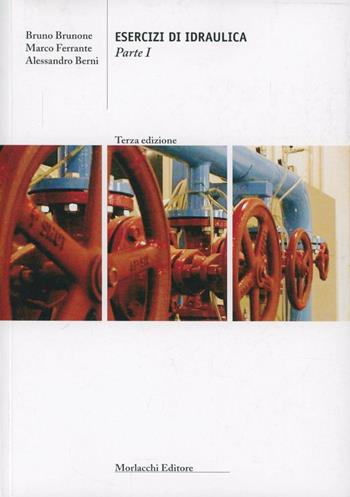 Esercizi di idraulica. Vol. 1 - Bruno Brunone, Marco Ferrante, Alessandro Berni - Libro Morlacchi 2004, Strumenti | Libraccio.it