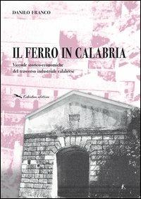 Il ferro in Calabria. Vicende storico-economiche del trascorso industriale calabrese - Danilo Franco - Libro Kaleidon 2003, Calabria | Libraccio.it