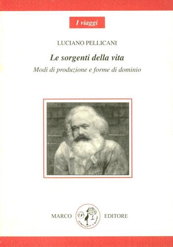 Le sorgenti della vita. Modi di produzione e forme di dominio - Luciano Pellicani - Libro Marco 2005, I viaggi | Libraccio.it