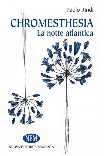 La notte atlantica. Chromoestesia - Paolo Rindi - Libro NEM 2017, Proposte | Libraccio.it