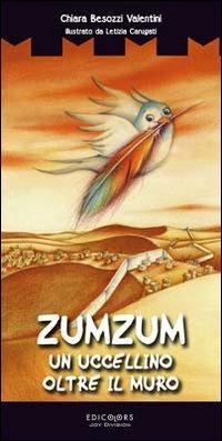 Zumzum un uccellino oltre il muro - Chiara Besozzi Valentini - Libro Edicolors 2010, Le torri incantate | Libraccio.it