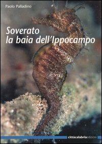 Soverato la baia dell'ippocampo - Paolo Palladino - Libro Città Calabria 2003 | Libraccio.it