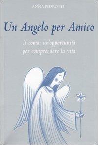 Un angelo per amico. Il coma: un'opportunità per comprendere la vita - Anna Pedrotti - Libro Italianova Publishing Company 2008, Spiritualità | Libraccio.it