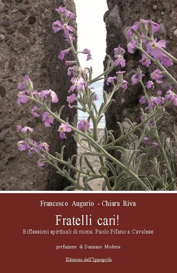 Fratelli cari! Riflessioni spirituali di mons. Paolo Pifano a Cavalese. Con CD-ROM - Chiara Riva, Francesco Augurio - Libro Edizioni dell'Ippogrifo 2013 | Libraccio.it