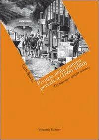 Perugia nella stampa periodica (1860-1880). Economia e spazio urbano - Carlo Moretti - Libro Volumnia Editrice 2010 | Libraccio.it