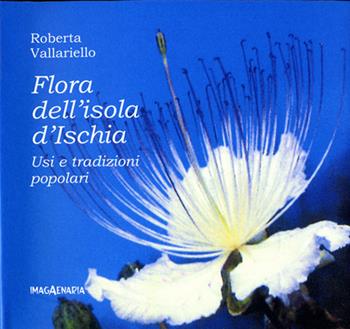 Flora dell'isola d'Ischia. Usi e tradizioni popolari - Roberta Vallariello - Libro Imagaenaria 2004, Insula | Libraccio.it