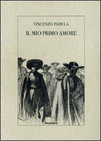 Il mio primo amore - Vincenzo Padula - Libro Imagaenaria 2008, Libreria imagaenaria | Libraccio.it