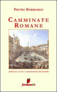 Camminate romane - Pietro Borromeo - Libro Fermento 2007, Percorsi della memoria | Libraccio.it