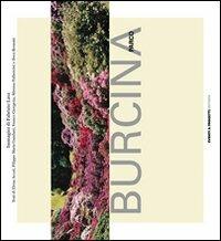 Parco Burcina - Fabrizio Lava - Libro Eventi & Progetti Editore 2007 | Libraccio.it