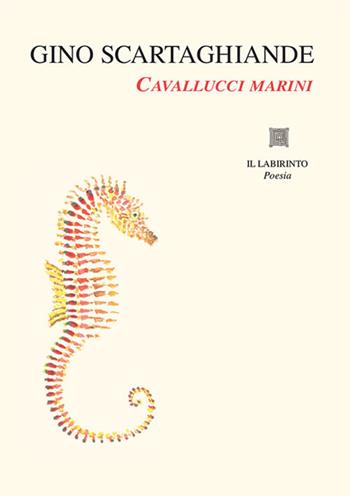 Cavallucci marini. Ediz. illustrata - Gino Scartaghiande - Libro Il Labirinto 2022, Stanze | Libraccio.it