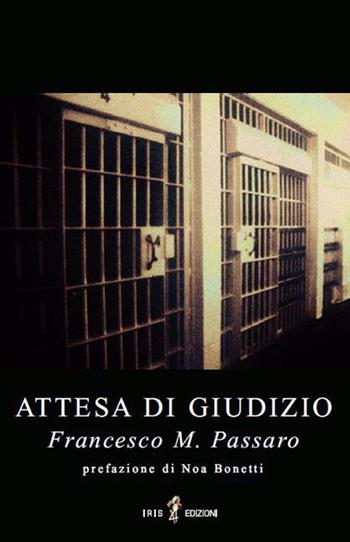 Attesa di giudizio - Francesco Mario Passaro - Libro Iris 4 2013, Arcanum | Libraccio.it
