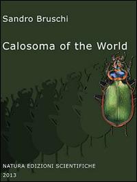 Calosoma of the world (Coleoptera, Carabidae) - Sandro Bruschi - Libro Natura Edizioni Scientifiche 2013 | Libraccio.it