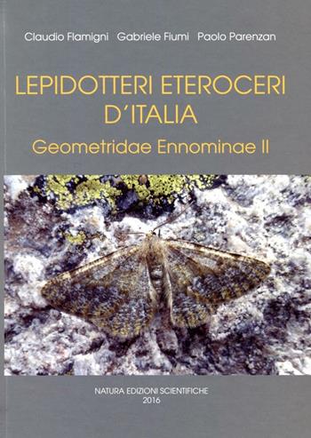Lepidotteri eteroceri d'Italia. Geometridae ennominae. Vol. 2 - Claudio Flamigni, Gabriele Fiumi, Paolo Parenzan - Libro Natura Edizioni Scientifiche 2016 | Libraccio.it