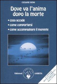 Dove va l'anima dopo la morte - Cesare Boni - Libro Amrita 2009, Oltre la vita | Libraccio.it
