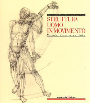 Struttura uomo in movimento. Manuale di anatomia artistica - Alberto Lolli, Mauro Zocchetta, Renzo Peretti - Libro Angelo Colla Editore 2015 | Libraccio.it