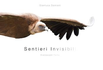 Sentieri invisibili-Evanescent paths. Ediz. illustrata - Gianluca Damiani - Libro Pandion Edizioni 2020 | Libraccio.it