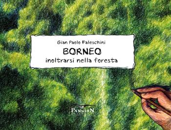Borneo. Inoltrarsi nella foresta. Ediz. illustrata - Gian Paolo Faleschini - Libro Pandion Edizioni 2021 | Libraccio.it