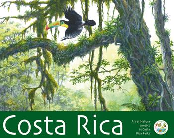 Costa Rica. Ars et natura project in Costa Rica Parks. Ediz. italiana e spagnola  - Libro Pandion Edizioni 2021 | Libraccio.it