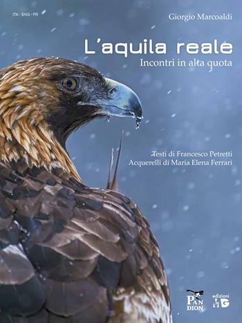 Aquila reale. Incontri in alta quota - Giorgio Marcoaldi - Libro Pandion Edizioni 2025 | Libraccio.it