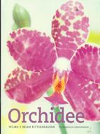 Orchidee - Wilma Rittershausen, Brian Rittershausen - Libro Mango 2014 | Libraccio.it