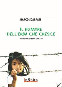 Il rumore dell'erba che cresce - Marco Scarpati - Libro Infinito Edizioni 2006, I saggi | Libraccio.it