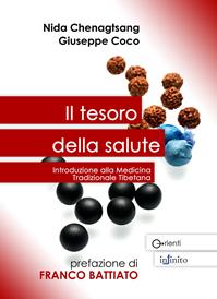 Il tesoro della salute. Introduzione alla medicina tradizionale tibetana - Nida Chenagtsang, Giuseppe Coco - Libro Infinito Edizioni 2016, Orienti | Libraccio.it