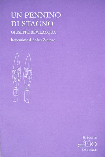 Un pennino di stagno - Giuseppe Bevilacqua - Libro Il Ponte del Sale 2006, La Porta delle Lingue | Libraccio.it