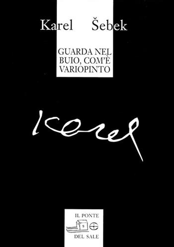 Guarda nel buio, com'è variopinto (testi dagli anni 1965-1995) - Karel Sebek - Libro Il Ponte del Sale 2008, Il labirinto del mondo | Libraccio.it