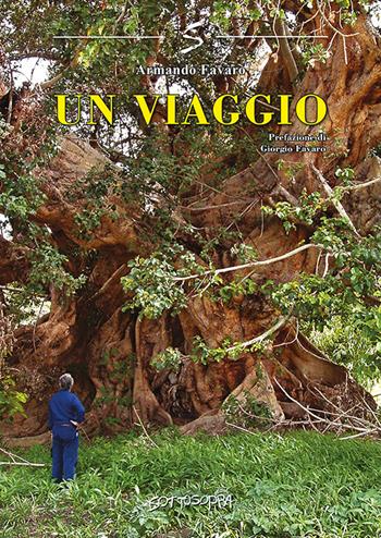 Un viaggio - Armando Favaro - Libro Sottosopra 2020 | Libraccio.it