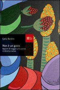 Non è un gioco. Appunti di viaggio sulla poesia in America latina - Carlo Bordini - Libro Luca Sossella Editore 2008, Experior | Libraccio.it
