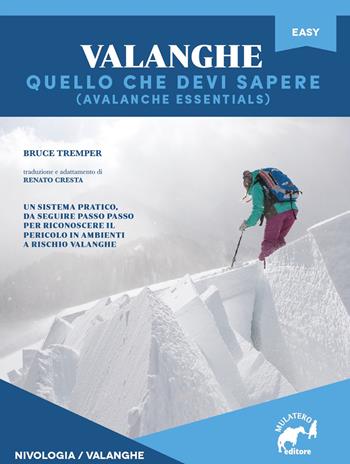 Valanghe. Quello che devi sapere - Bruce Tremper - Libro Mulatero Editore 2018, Easy | Libraccio.it