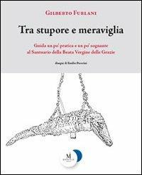 Tra stupore e meraviglia. Guida un po' pratica e un po' sognante al santuario della beata Vergine delle Grazie - Gilberto Furlani - Libro Miraviglia 2011 | Libraccio.it