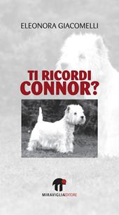 Ti ricordi Connor?