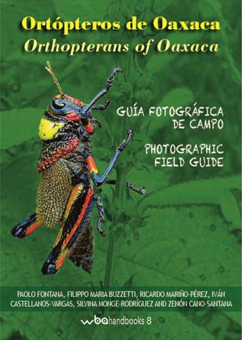 Ortopteros de Oaxaca. Fotografica de campo-Orthopterans of Oaxaca. Photographic field guide. Ediz. illustrata  - Libro WBA Project 2017, WBA Handbooks | Libraccio.it