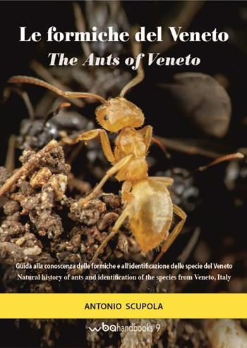 Le formiche del Veneto. Guida al riconoscimento delle specie con note di mirmecologia generale-The ants of Veneto. Guide to recognition of species with notes of general myopecology - Antonio Scupola - Libro WBA Project 2018, WBA Handbooks | Libraccio.it