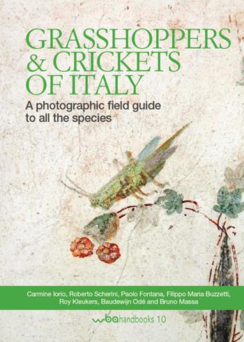 Grasshoppers and crickets of Italy. A photographic field guide to all the species  - Libro WBA Project 2019, WBA Handbooks | Libraccio.it