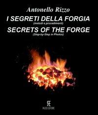 I segreti della forgia (metodi e procedimenti)-Secret of the forge (ste-by-step in photos). Ediz. bilingue - Antonella Rizzo - Libro Rizzo 2012 | Libraccio.it