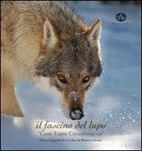 Il fascino del lupo. Cane lupo cecoslovacco-The charm oh a wolf. Czechoslovakian wolfdog. Ediz. illustrata - Carolina De Homem Christo - Libro Edizioni Altea 2011 | Libraccio.it