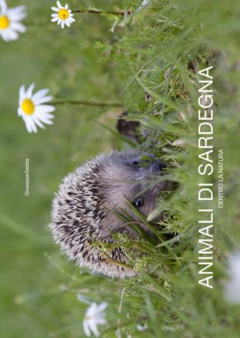 Animali di Sardegna. Dentro la natura. Ediz. italiana e inglese - Giuseppe Sedda - Libro Spanu 2010, Libri fotografici | Libraccio.it